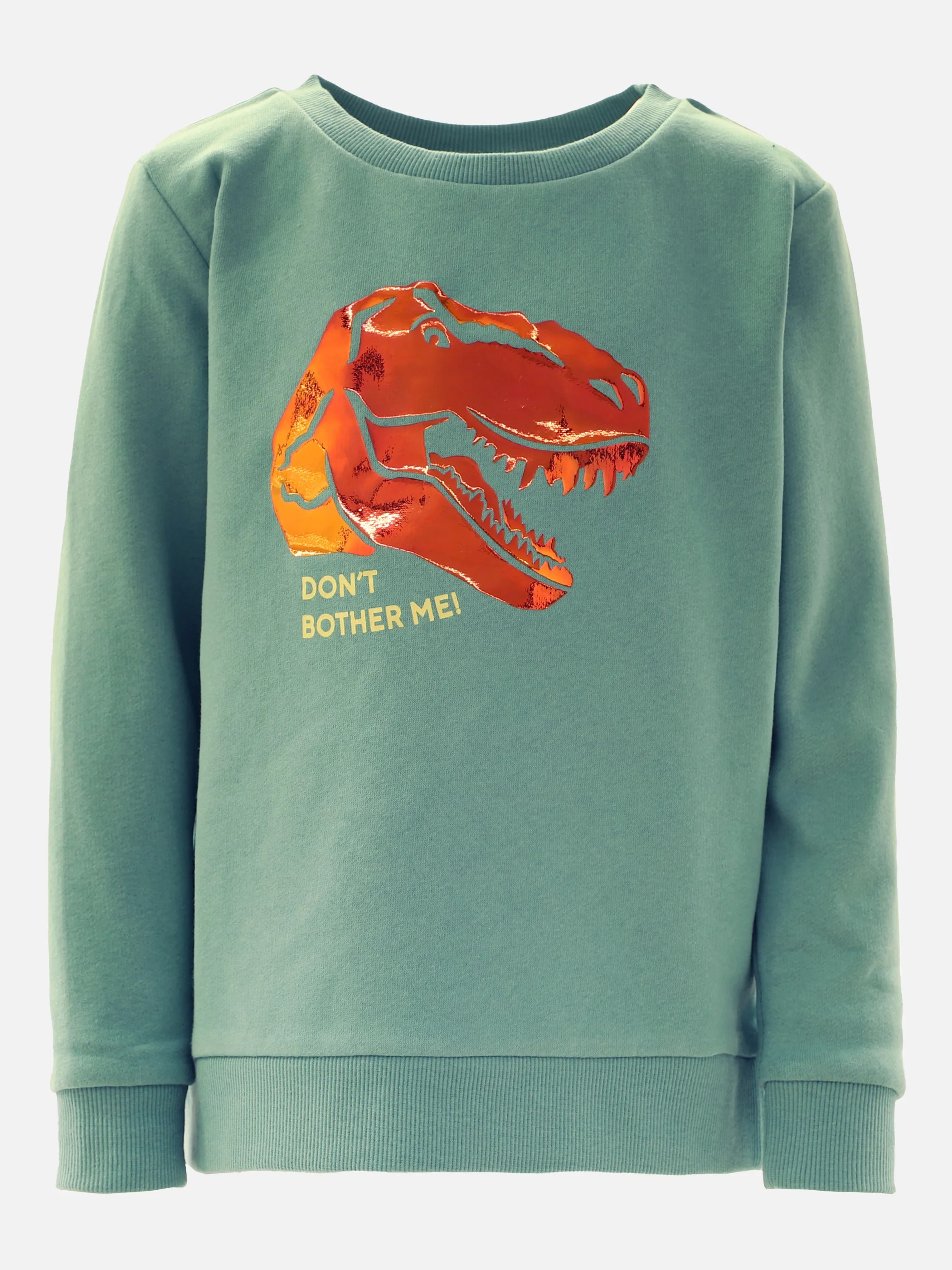 Jungen Sweatshirt mit Folienprint