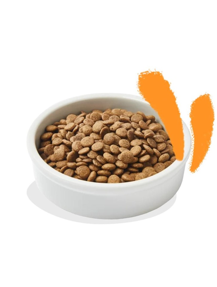 Edgard Cooper - Kat Voksen Tørfoder Kylling - 2kg
