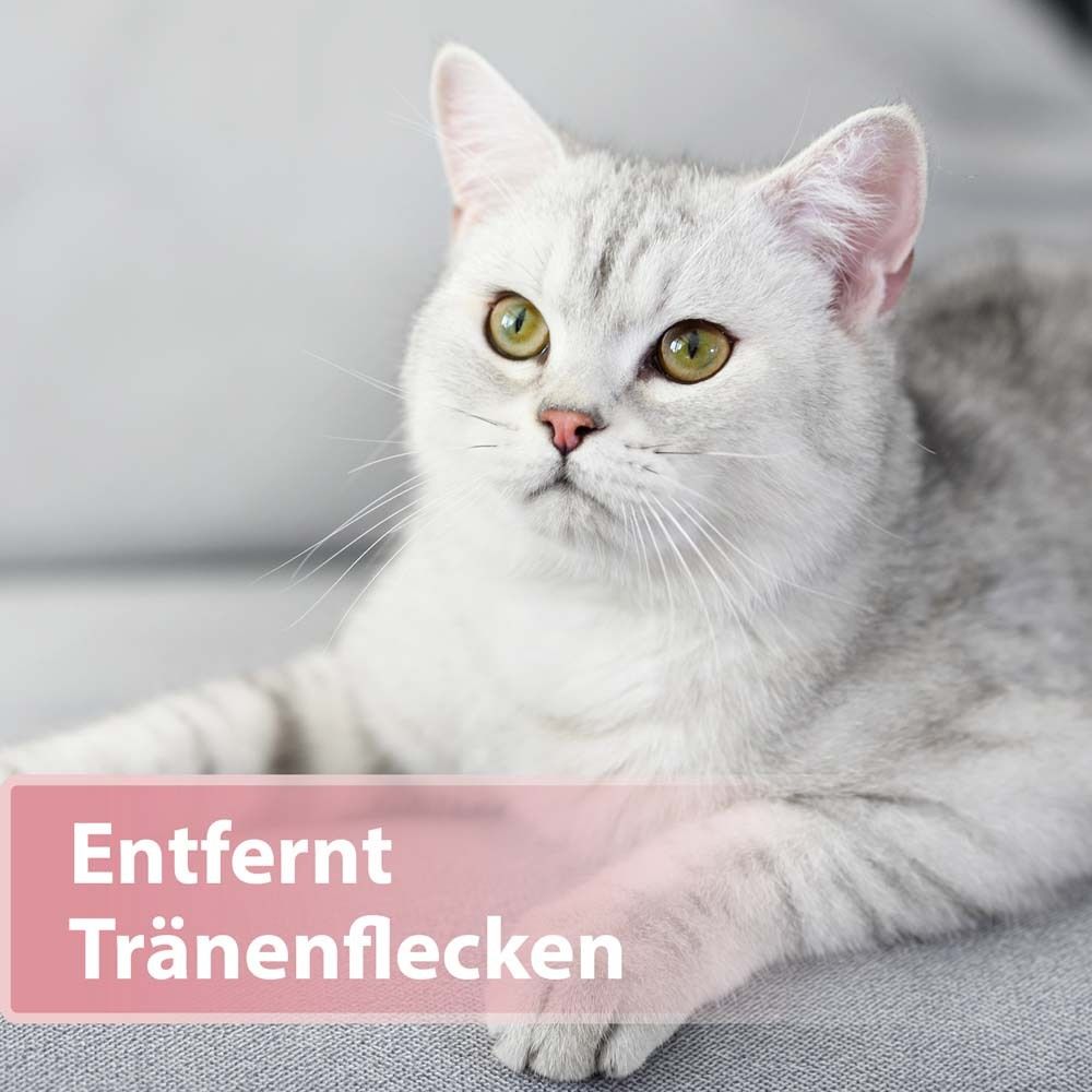 Felisept® Augenpflege-Pads für Katzen
