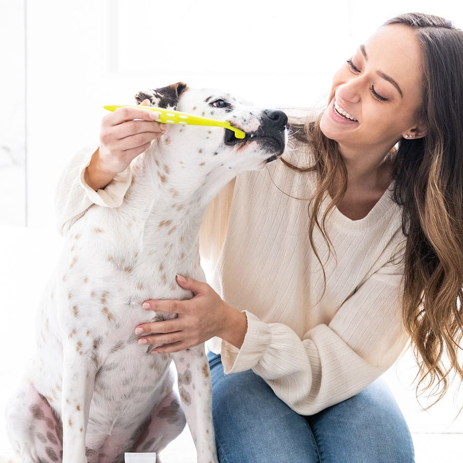 Kit de limpeza dental Petosan para cães de porte médio