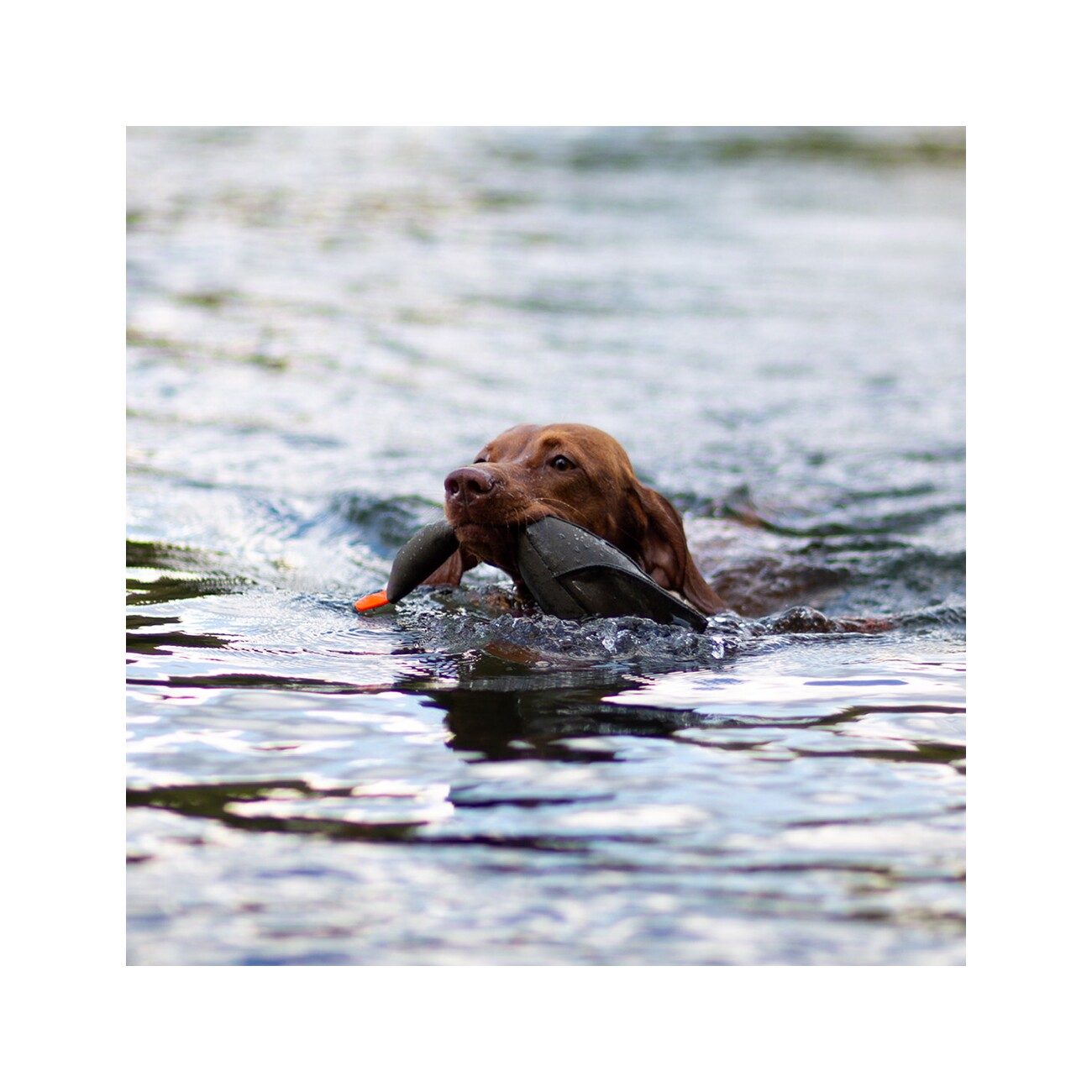 ROMNEYS Duck Dummy Entendummy Nylon 400g