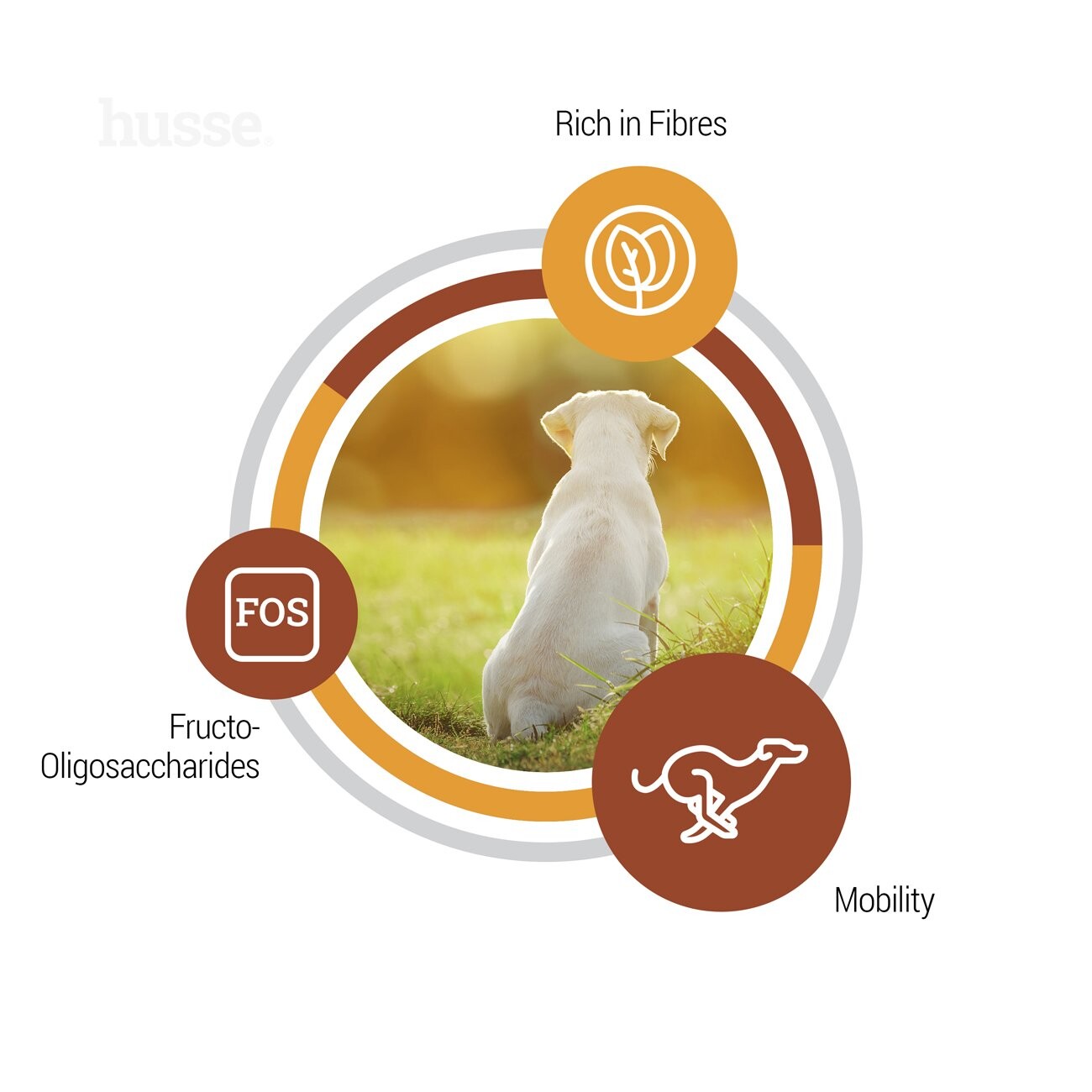 husse Valp Maxi Huhn & Reis