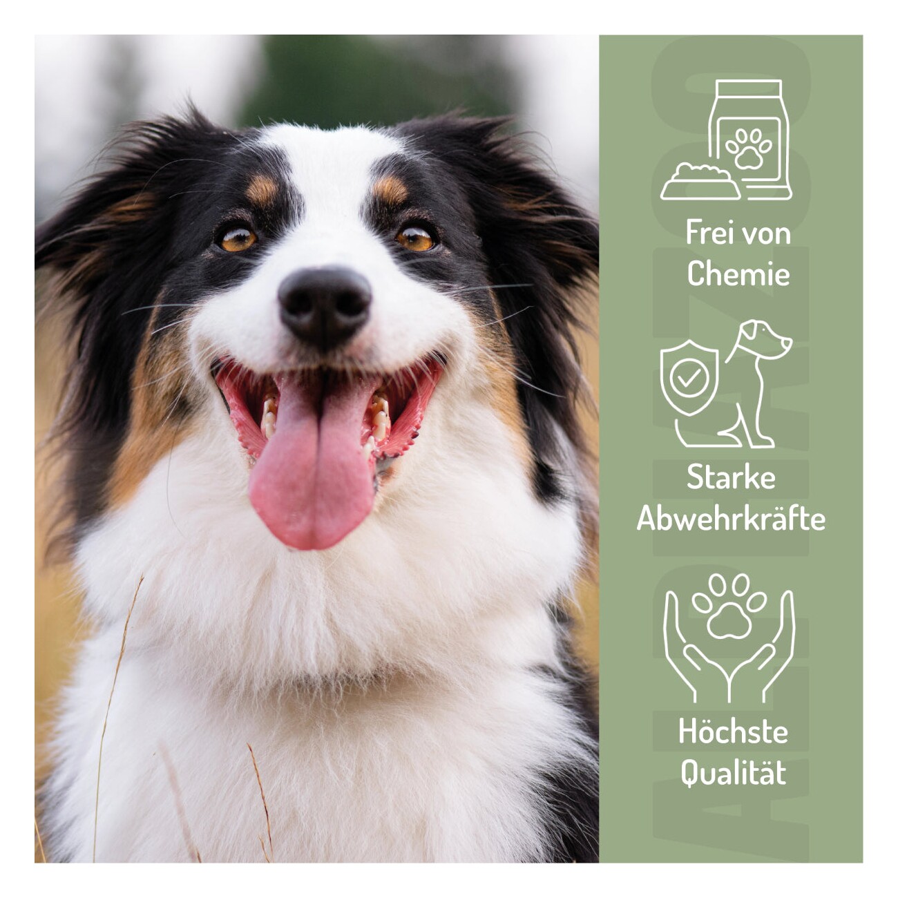 ALPHAZOO Bierhefe Tabletten für Hunde und Katzen 75 g