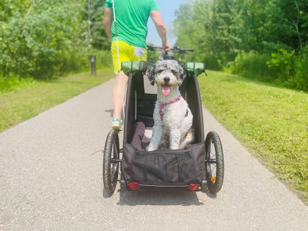 Burley Tail Wagon Dog Trailer, Max 34 kg