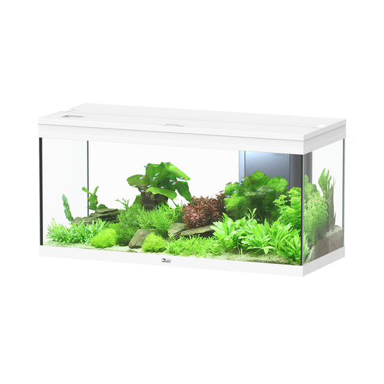 Aquarium Volga 180 Led 2.0 Blanc L.103,5x P.42,7x H.50,9 cm