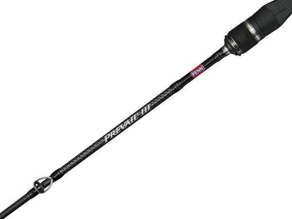 Canne Bateau Jigging Casting Penn Prevail III 1.83m