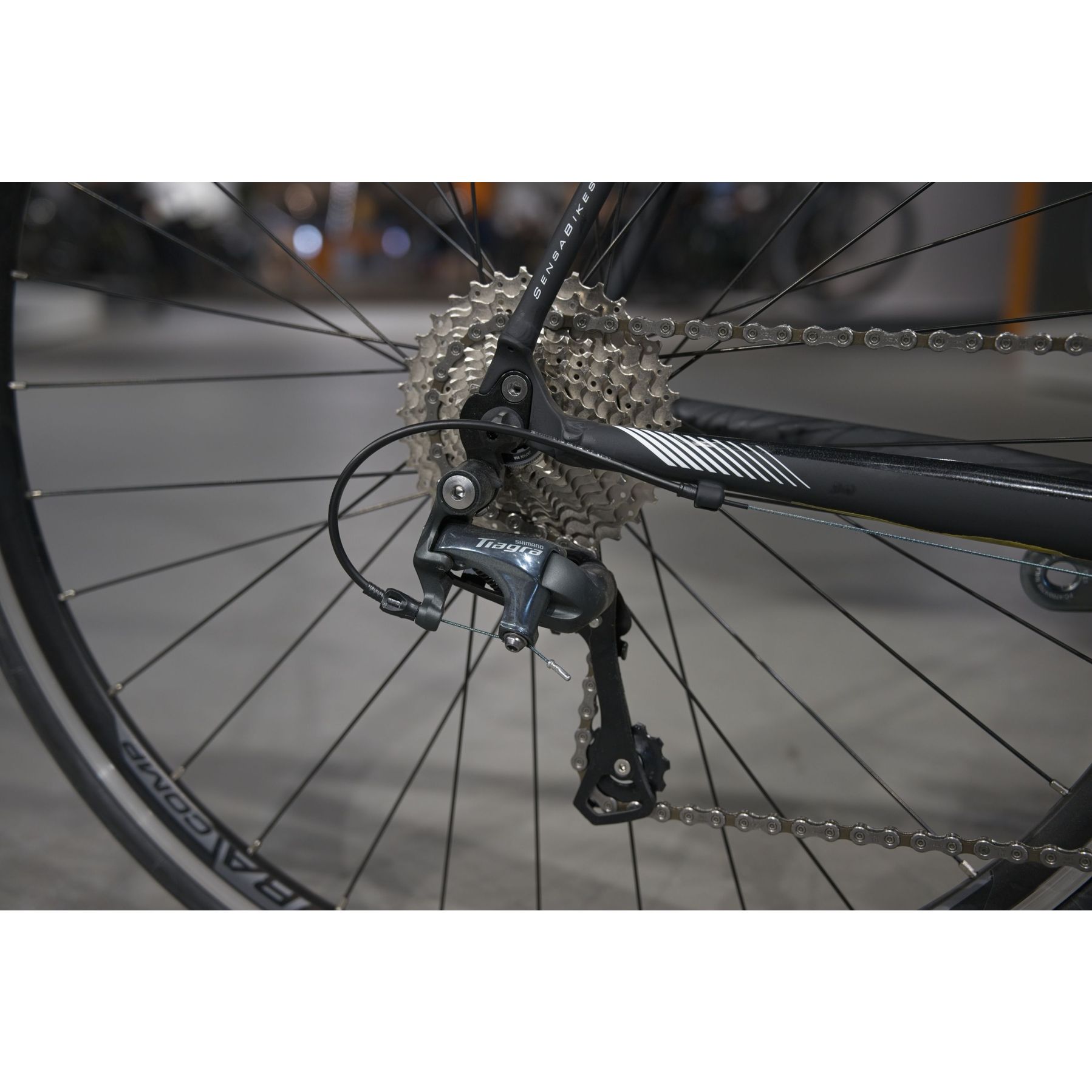 Sensa Milano LTD Tiagra 2024