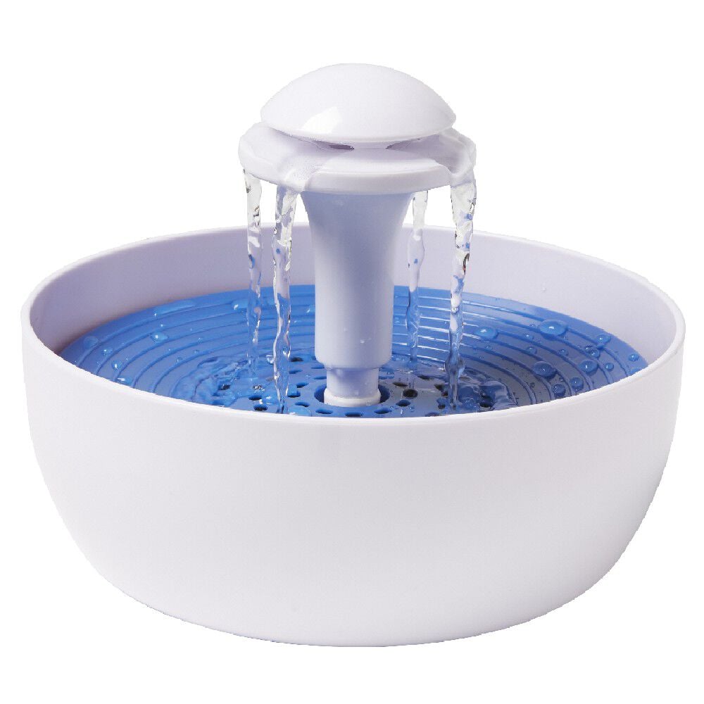 Fontaine à eau pour chat