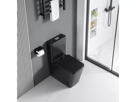 Toilette WC à poser BRAGADO en céramique noir mat