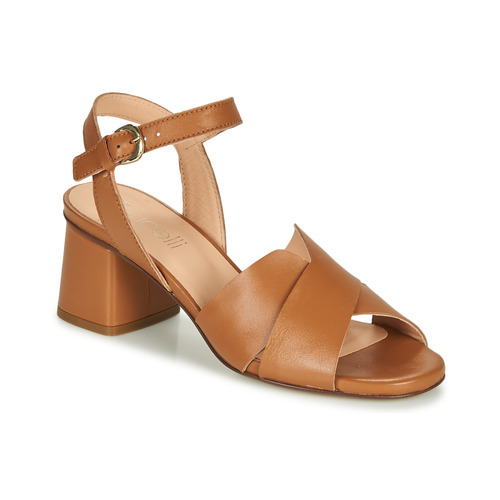 Fericelli - ONAPA - Camel