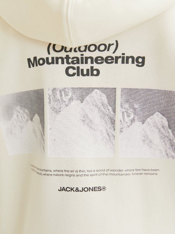 Jack&jones - Jcoalpha Mountain Print Sweat Hood Jnr - Jongens - Sweaters