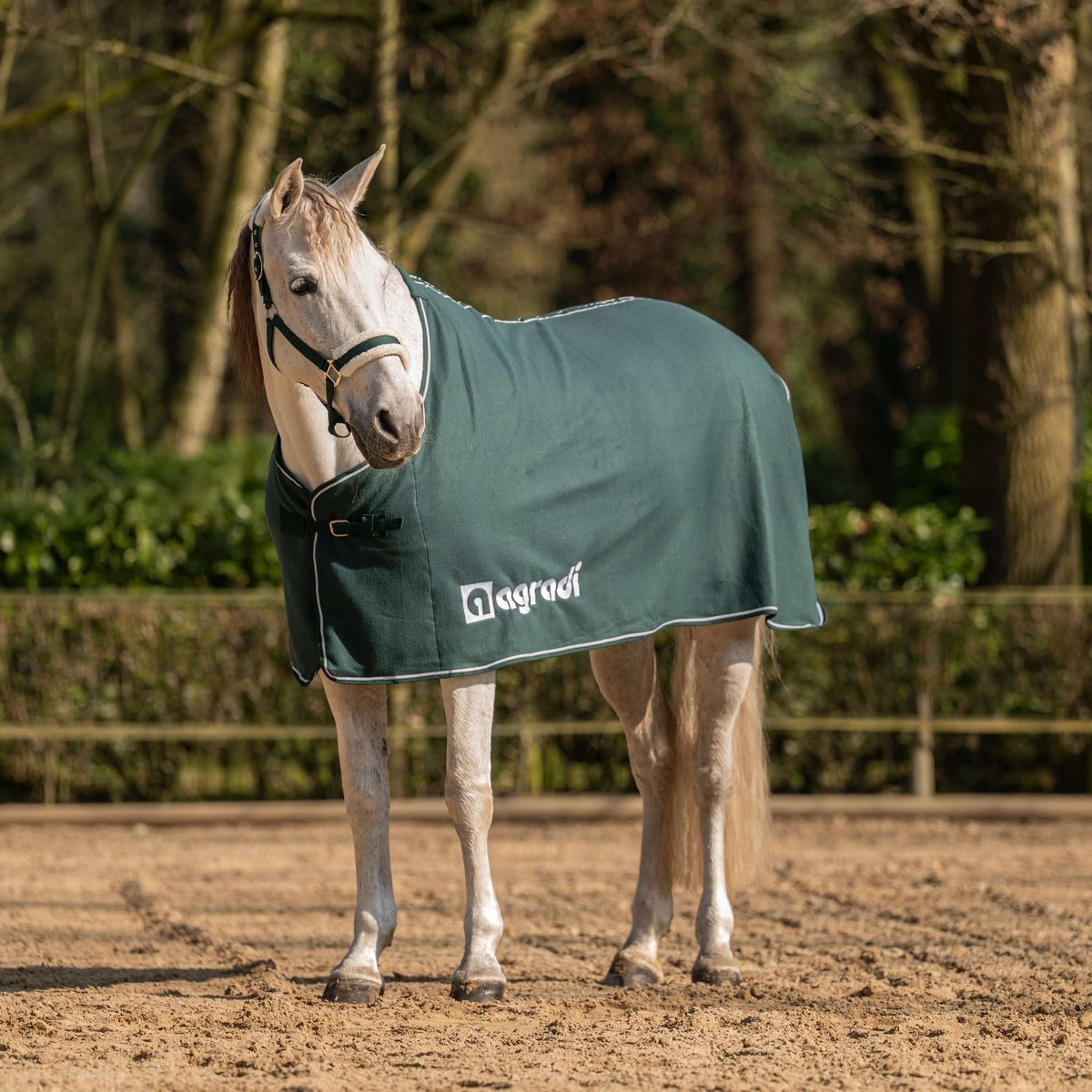 Agradi Horse Fleecedeken Economic Fir Green