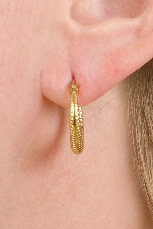 Day&Eve by Go Dutch Label Aladdin Hoop oorbellen in goud