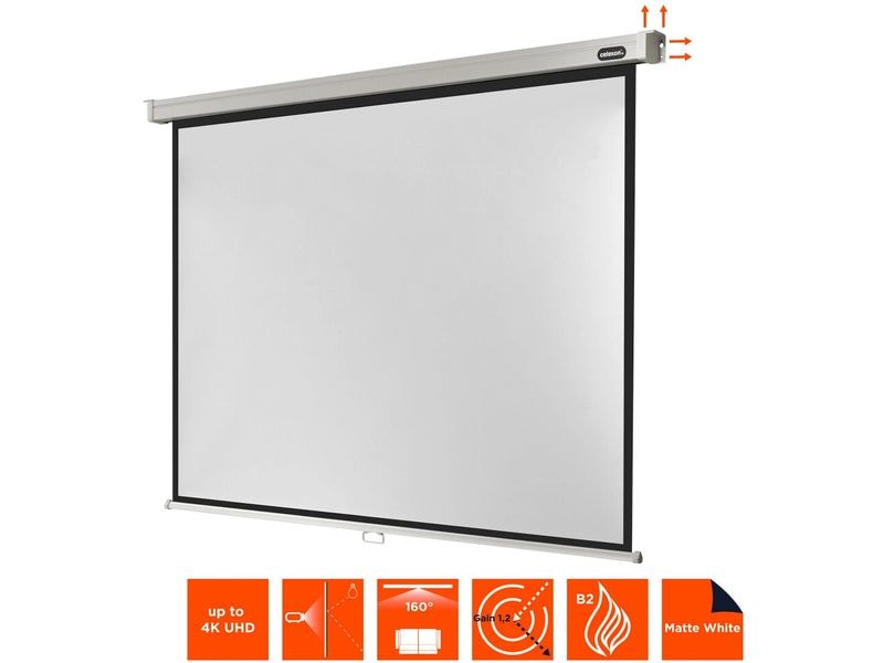 Celexon Rollo-Leinwand Pro 220x165cm 4:3 Leinwand Rollo Professional 220 x 165 cm