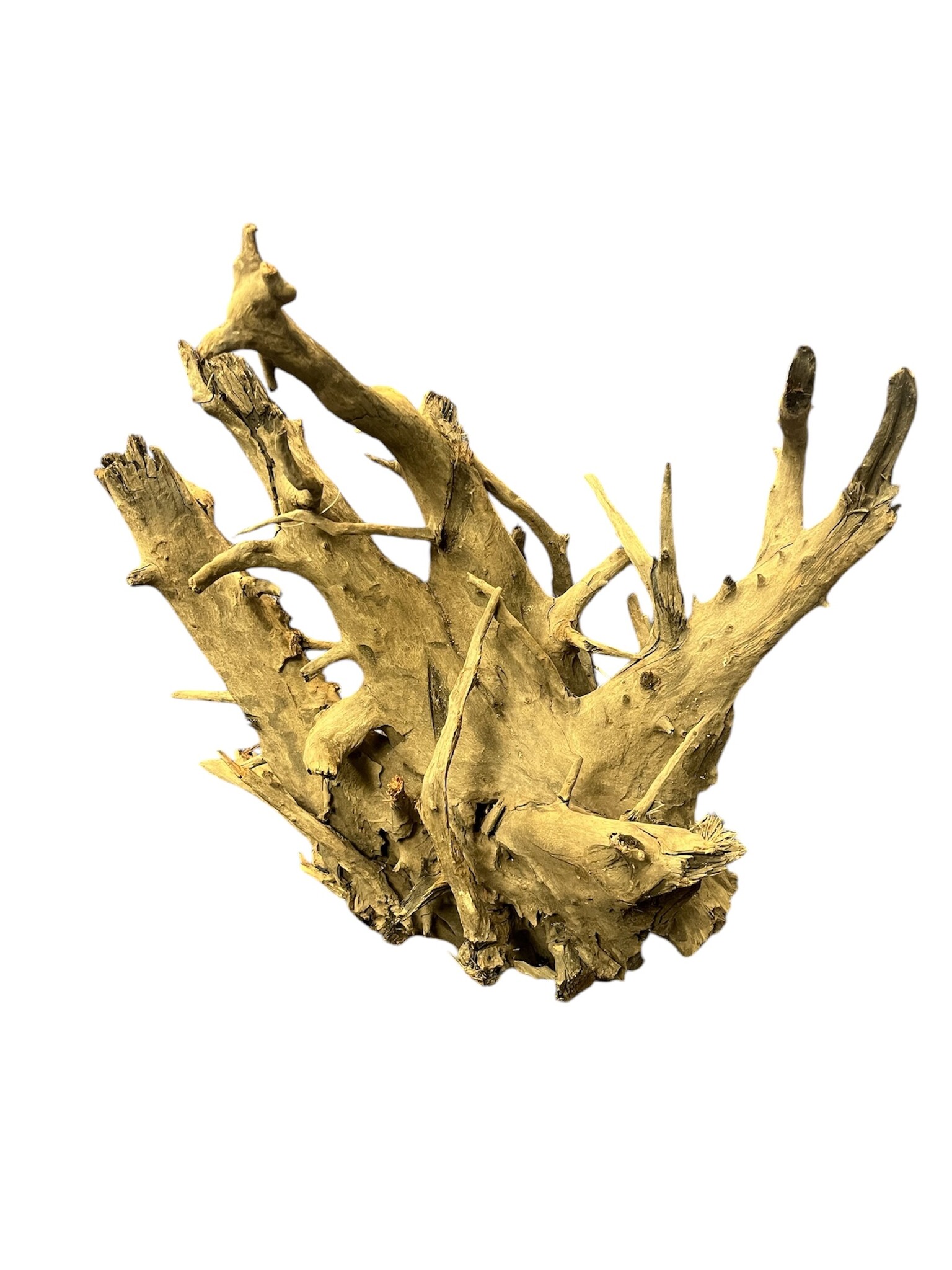 AquastoreXL Corbo Root XL NR07 8,7kg