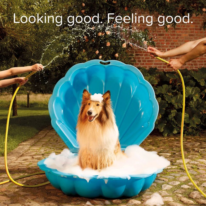 Shampooing démêlant beaphar