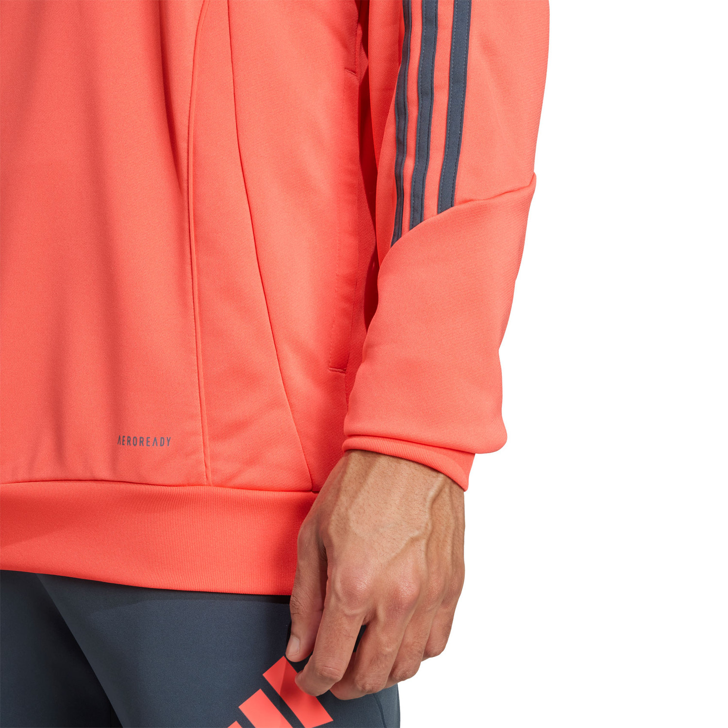 adidas Bayern München TK Hoody 2025/2026