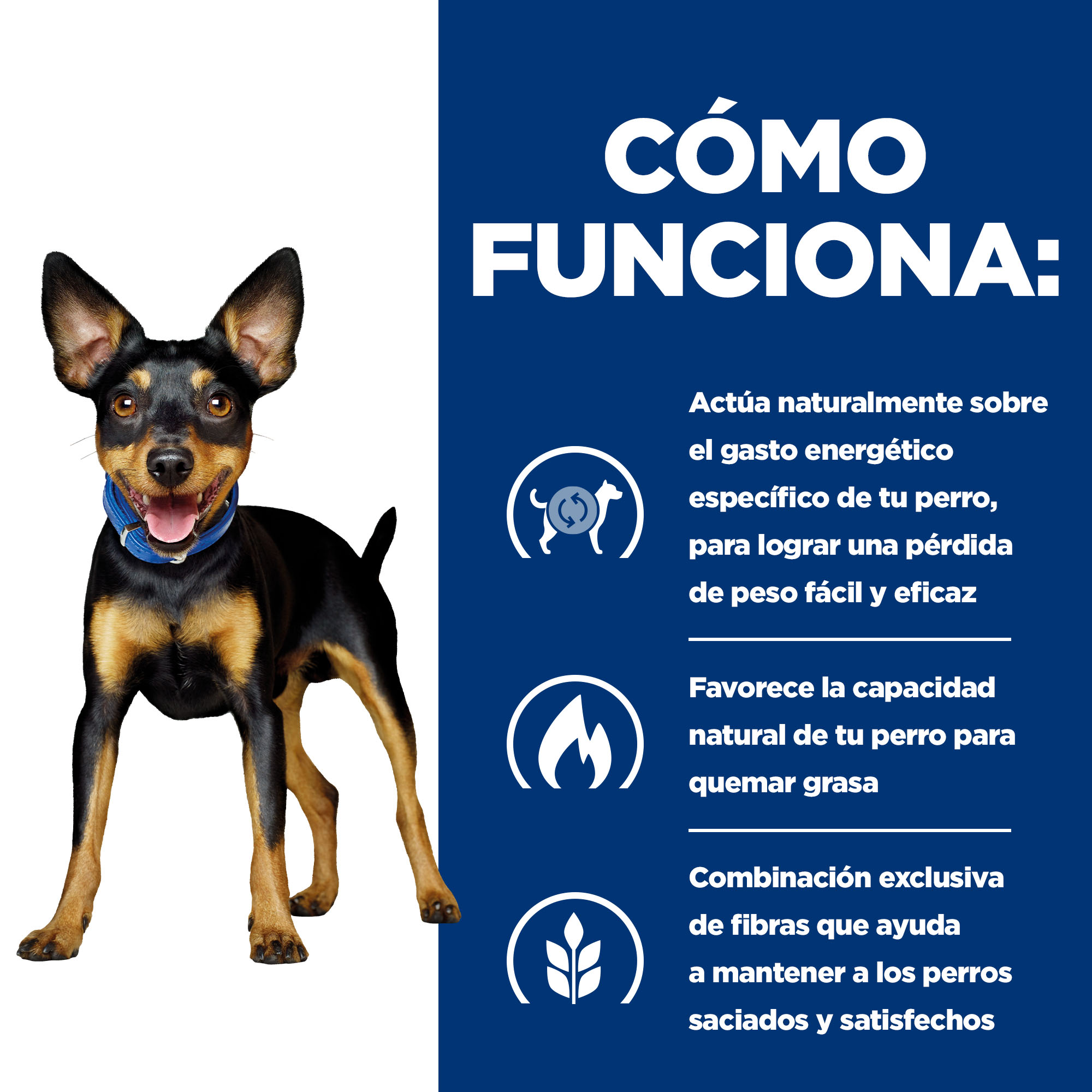 Hill's Prescription Diet Metabolic Mini Weight Loss pia para cachorros