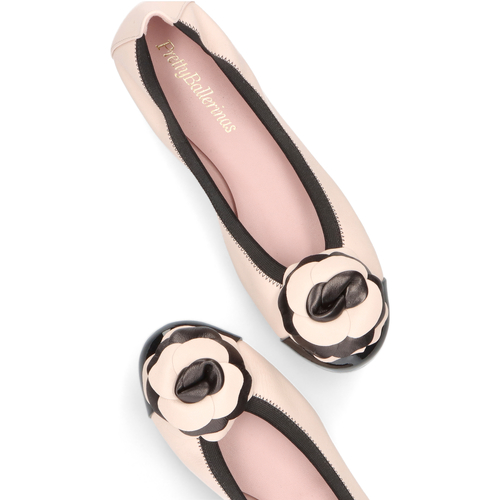 Pretty Ballerinas - Shirley Marrón