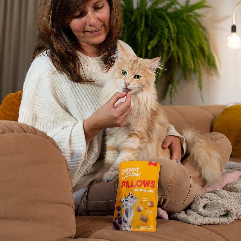 Edgard & Cooper Pillows Kattensnacks 60 gram | Kalkoen | 15460.3