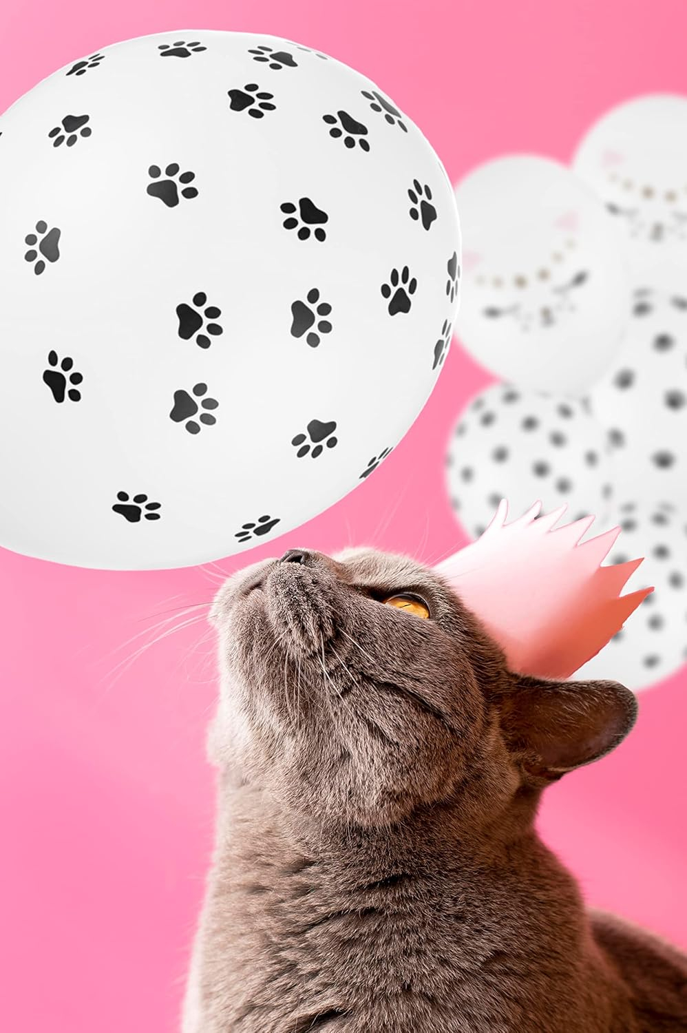 (11-tlg. Set) Katze Latex- und Folien Ballon Party Deko Tatze Luftballon - Schwarz / Weiss