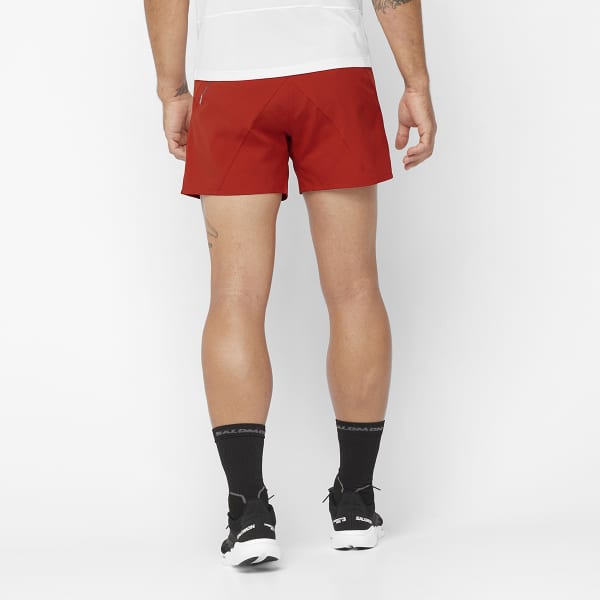 Short trail SALOMON CROSS 5'' SHORTS M RED DAHLIA