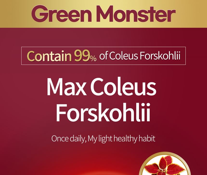 GROEN MONSTER - Max Coleus Forskohlii