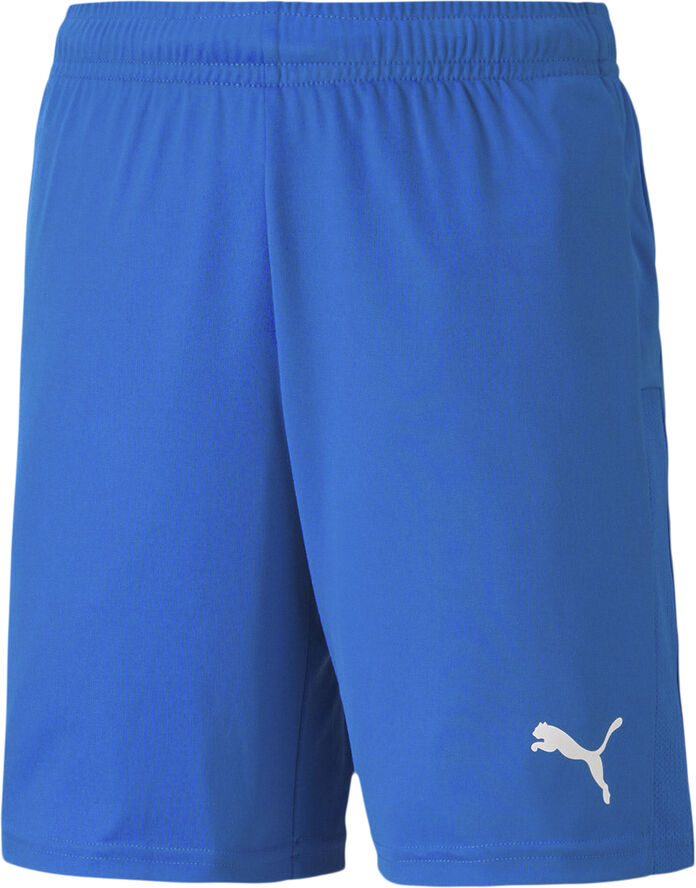 Puma Teamgoal 23 Knit shorts Blå