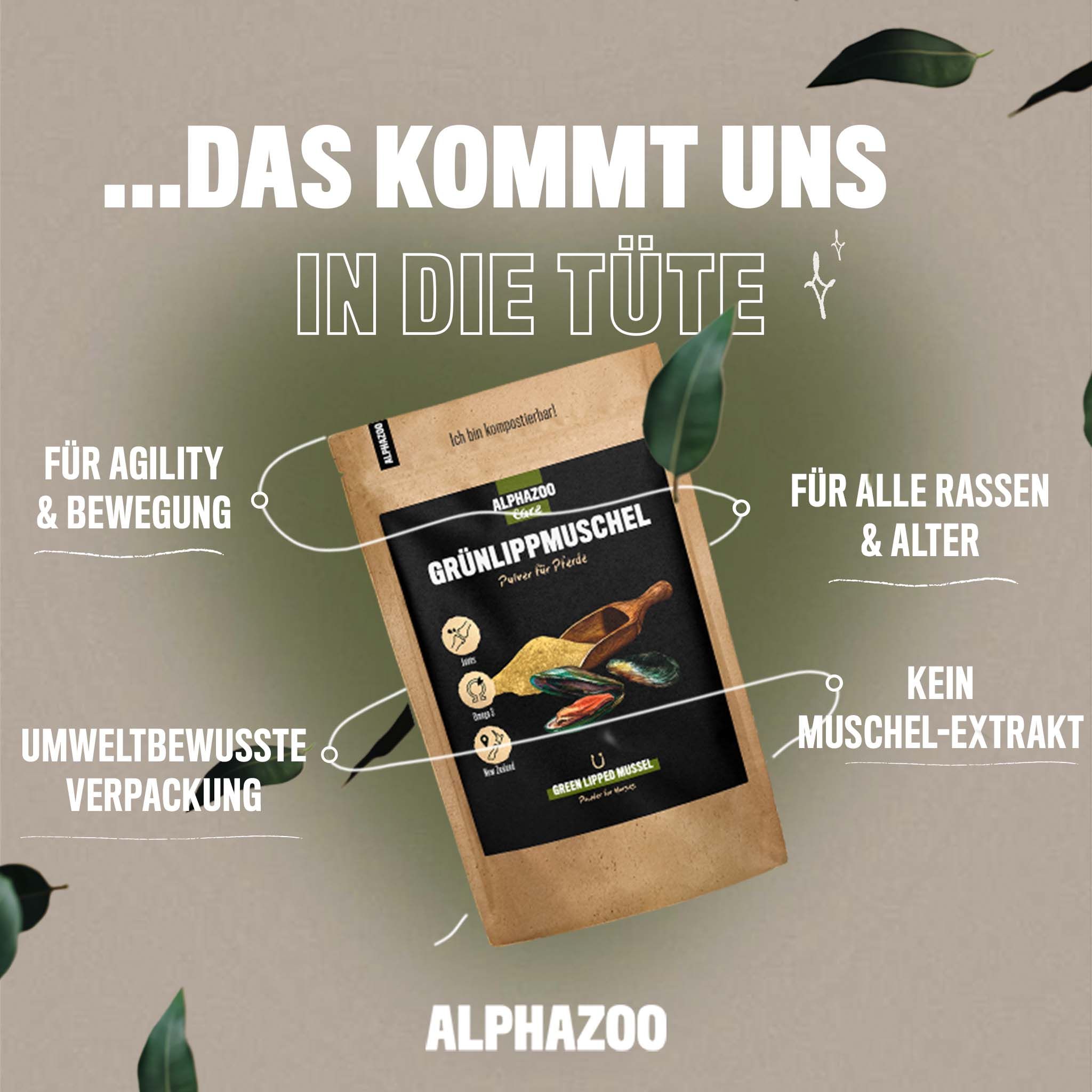ALPHAZOO Grünlippmuschel-Pulver für Hunde und Katzen I Muschelpulver gegen Arthrose