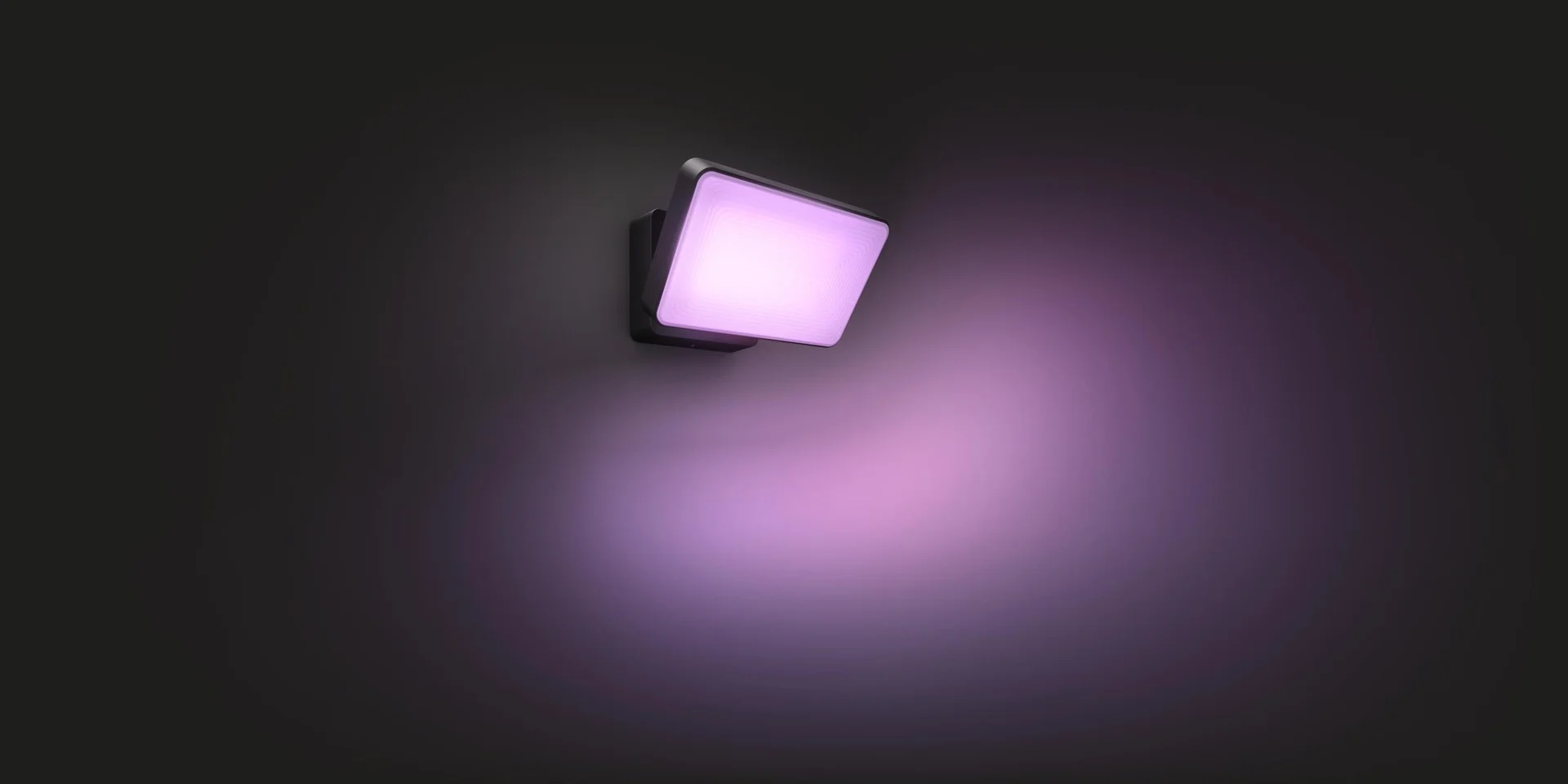 Philips Hue - Discover Black Outdoor- White & Color Ambiance