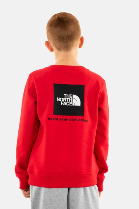 Sweat the north face box nse regular crew 6821 tnf red