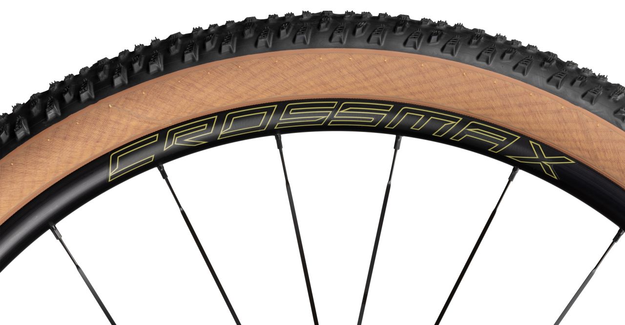 Radon Jealous AL 10.0 kaufen | Bike-Discount