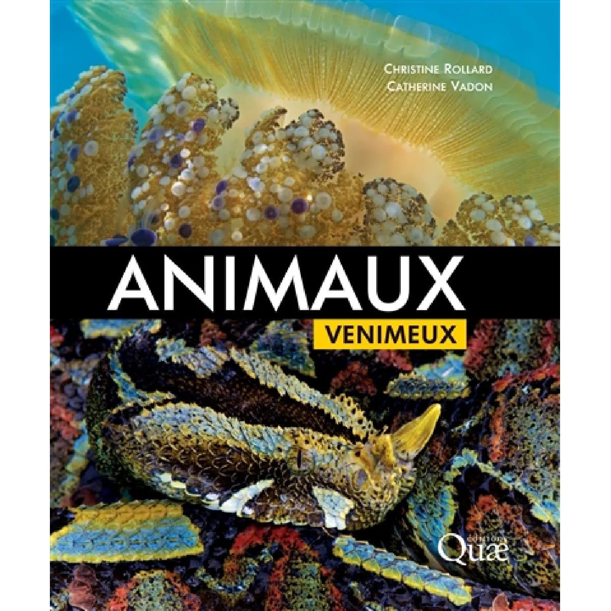 Animaux venimeux