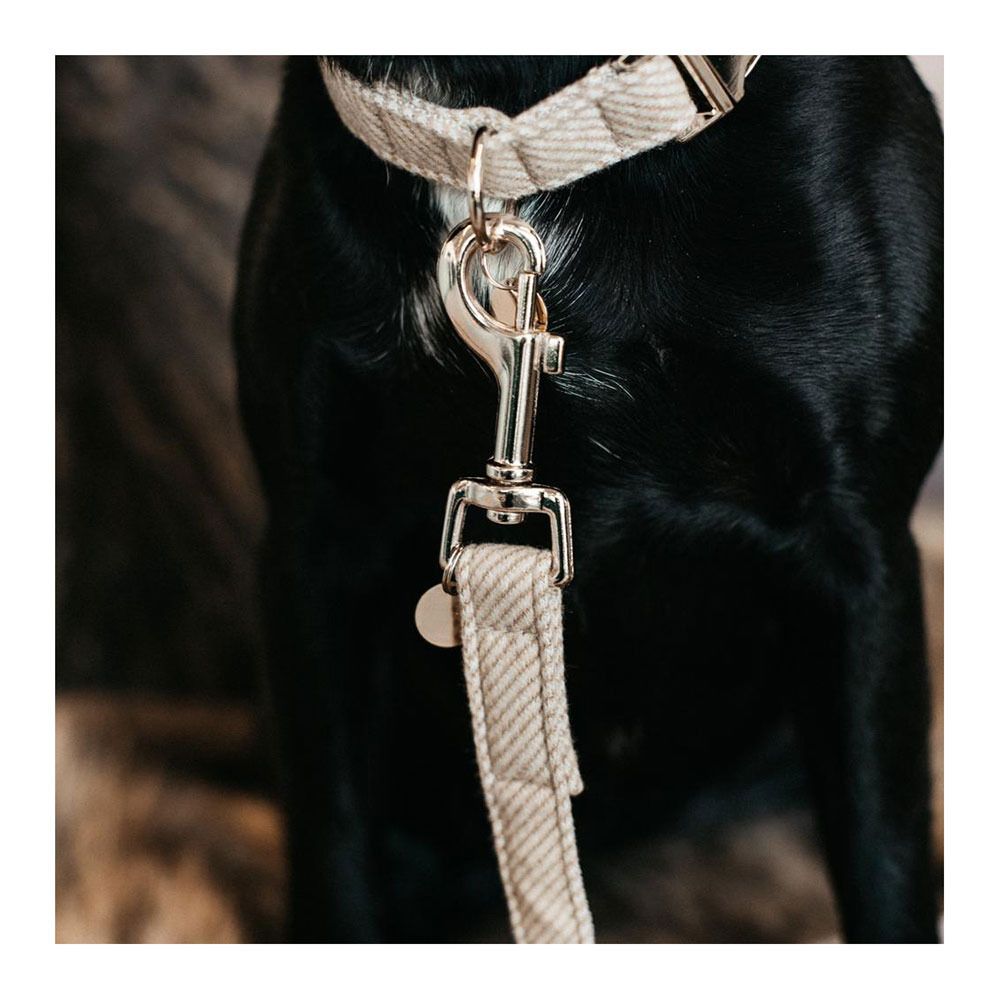 Kentucky LAINE 2M - Laisse pour chien beige