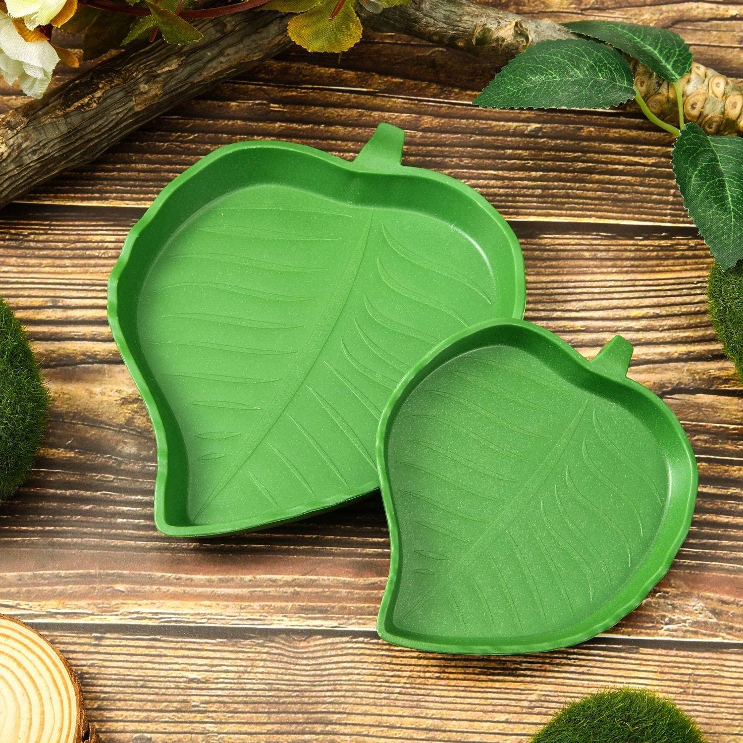 (2er Set) 2in1 Reptilien Futter Teller Wasser Schale Terrarium Zubehör für Schildkröten / Eidechsen / Chamäleon - Grün