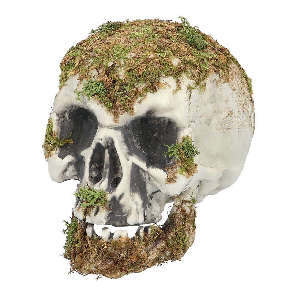 Halloween Schedel Mos 19cm
