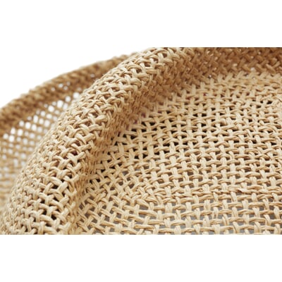 Herren-Papierhut, Natur