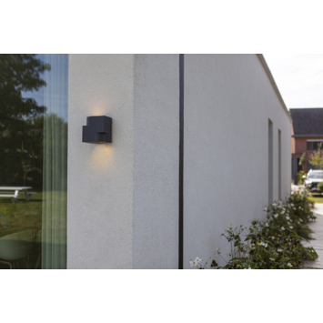 Lutec buitenlamp Marbo 2-lichts antraciet