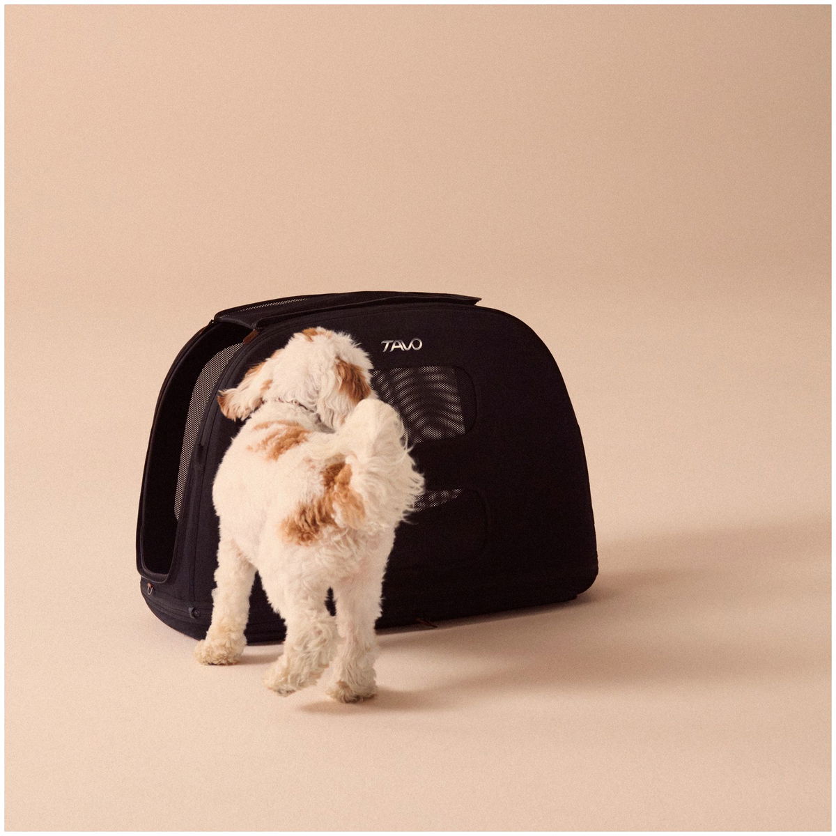 Tavo PetsTavo Pets   Crispin Transportbox onyx Large