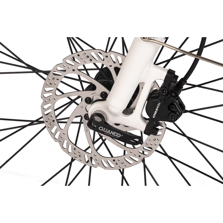 Adore Alu E-Citybike Damen Hollandia Mantova 28'' E-Bike weiß 7 Gänge weiß
