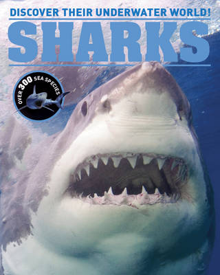 Sharks Encyclopedia: Discover Their Underwater World (Hardback)