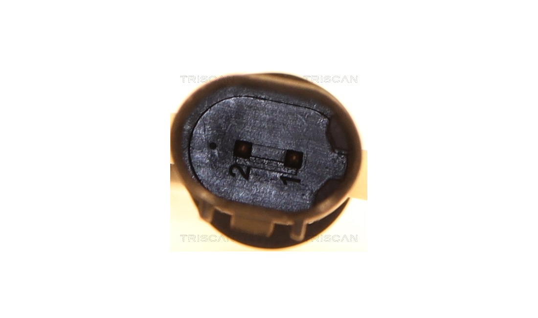 ABS sensor