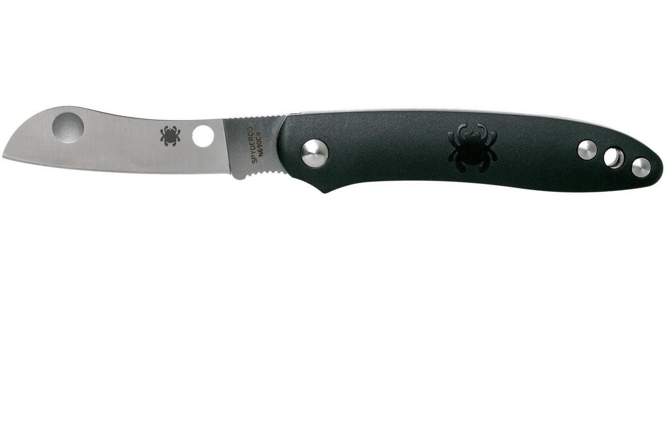 Spyderco Roadie C189BK zakmes