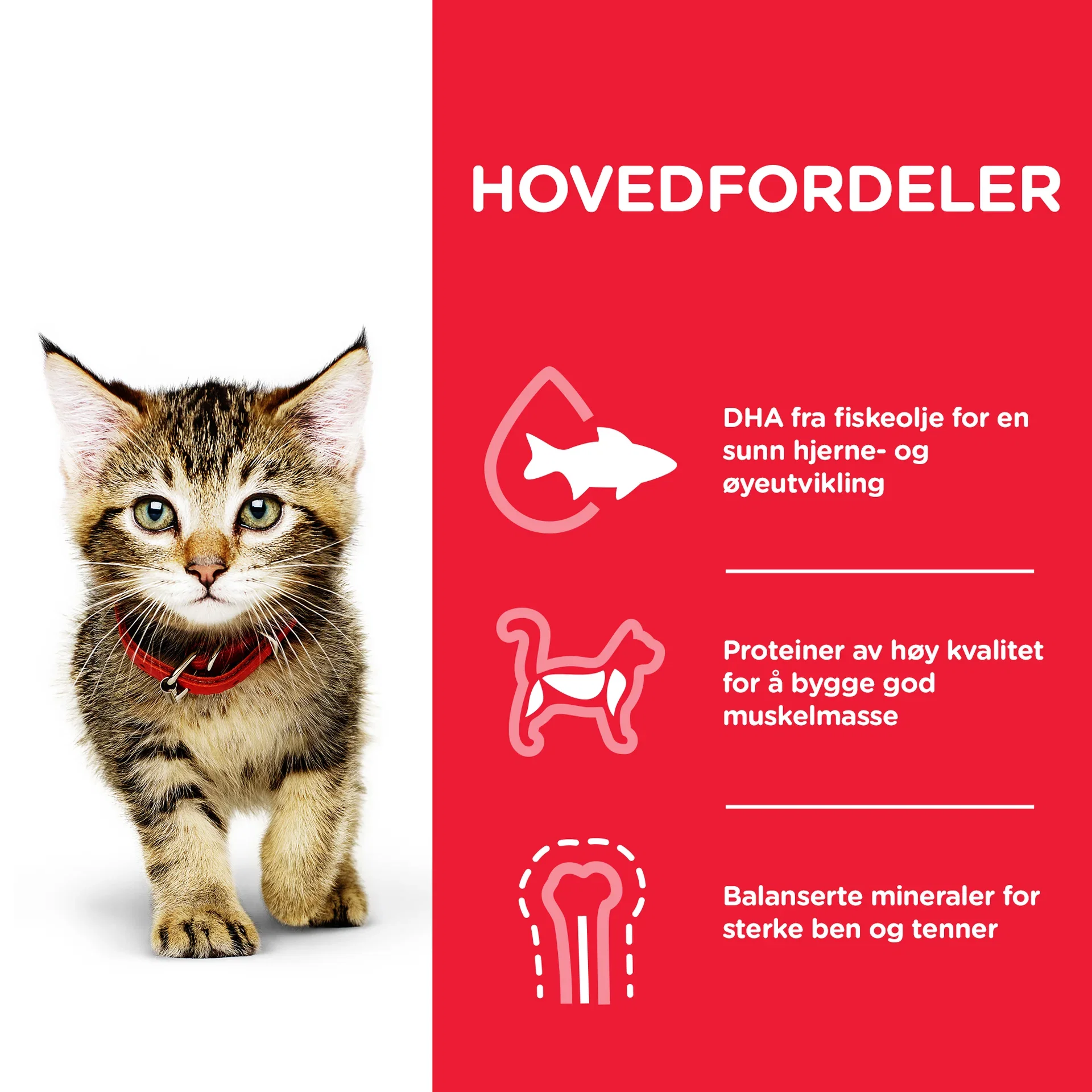 Hills Hill's Kitten Kylling 8 pk
