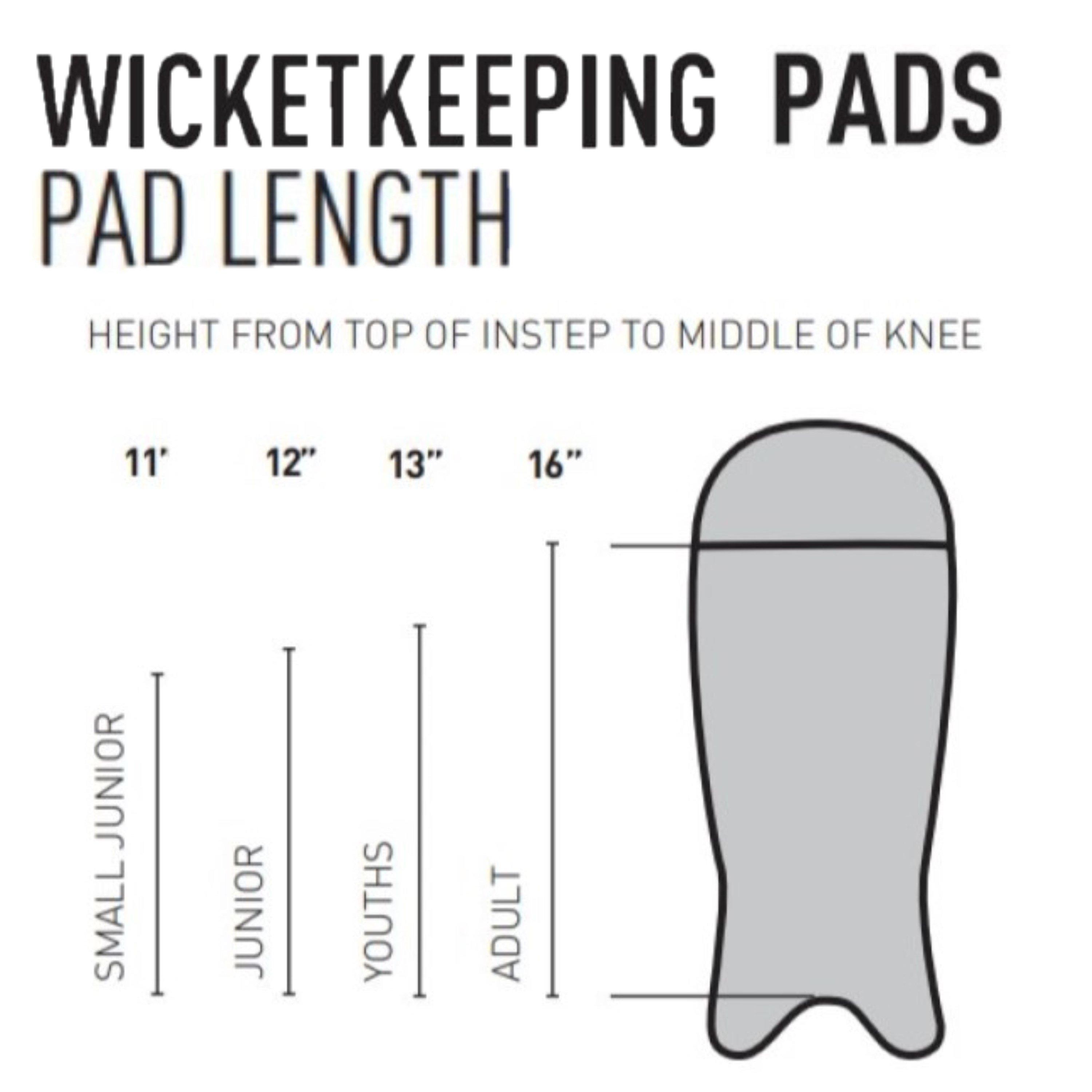 Gunn And Moore Aion 300 WK Pads Adult