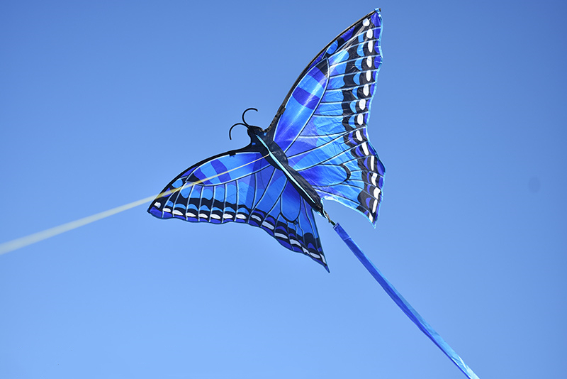 (1.4m) Flug Drachen Herbst Spielzeug Outdoor Schmetterling Flugspielzeug - Blau