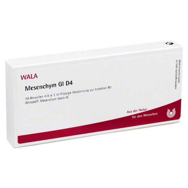 Mesenchym GL D 4 Ampullen, 10X1 ml