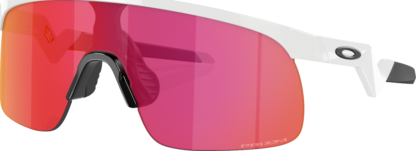 Resistor 0423/Polished White w/Prizm Field