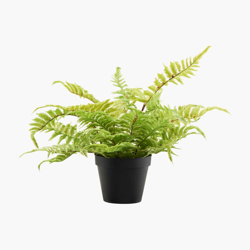 Kunstig plante, bregne