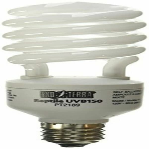 Lampe Exo Terra